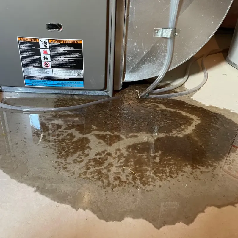 Appliance Leak Cleanup in McMinn County, TN